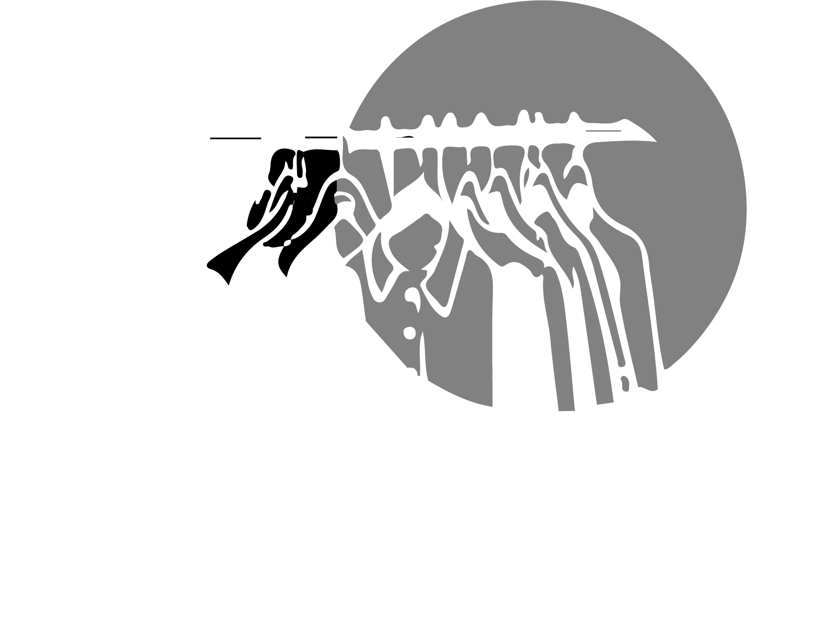 Hercloset
